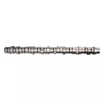 Arbre à cames BF 20 1004 13004