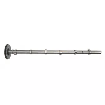 Arbre à cames BF 20 1003 47000