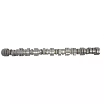 Arbre à cames BF 20 1007 12005