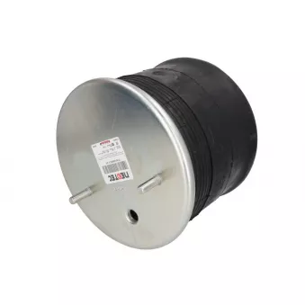 Ressort pneumatique, suspension pneumatique TIP TOPOL ABM 506-31-D05