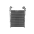 Intercooler, échangeur TITANX RE4060 - Visuel 2
