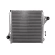 Intercooler, échangeur TITANX RE4142 - Visuel 1