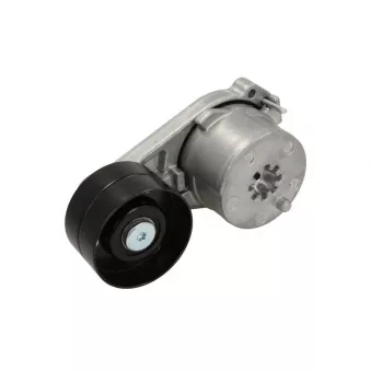 Galet tendeur de courroie d'accessoires CZM 111331