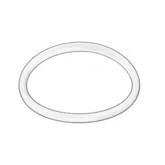 Joint d'étanchéité, collecteur d'admission OE