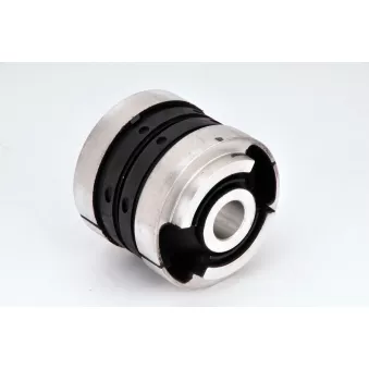 Silent bloc de suspension (train arrière) CZM 81220085