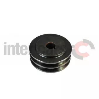 Poulie renvoi/transmission, courroie trapézoïdale à nervures CZM