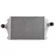Intercooler, échangeur CZM 111077 - Visuel 1