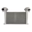 Intercooler, échangeur CZM 110668 - Visuel 1