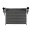 Intercooler, échangeur CZM 110767 - Visuel 1