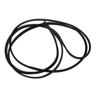 Joint de vitre SAINT-GOBAIN SEKURIT