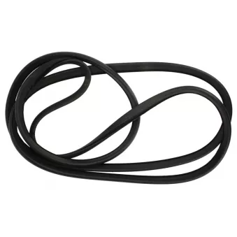 Joint d'étanchéité, pare-brise SAINT-GOBAIN SEKURIT