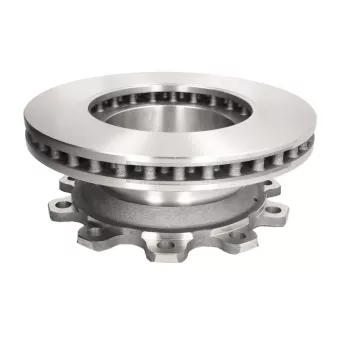 Jeu de 2 disques de frein arrière BERAL BCR176A