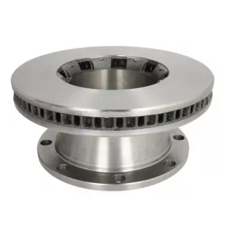 Jeu de 2 disques de frein arrière BERAL BCR220A