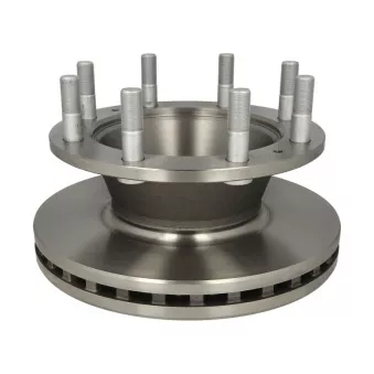 Jeu de 2 disques de frein arrière BERAL BCR308A