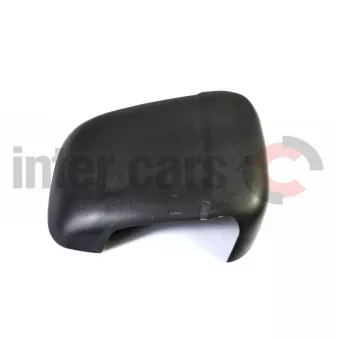 Coque de rétroviseur CMG