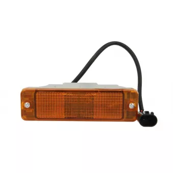 Feu clignotant CMG 03.00381