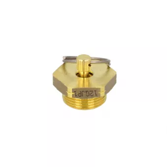 Valve de purge RAUFOSS 623 7787