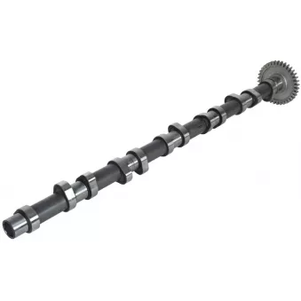 Arbre à cames BF 20 1002 20661