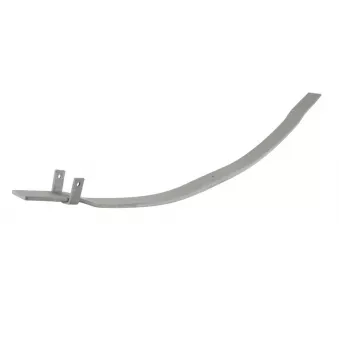 Lame de suspension TES