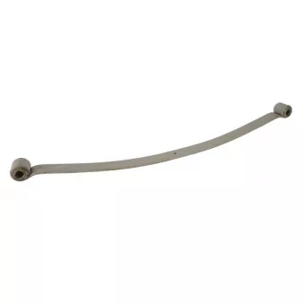 Lame de suspension TES