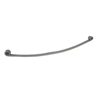 Lame de suspension TES