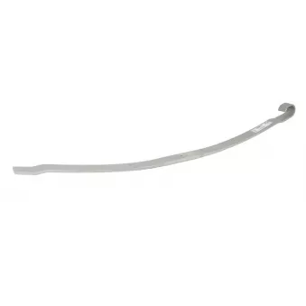 Lame de suspension TES