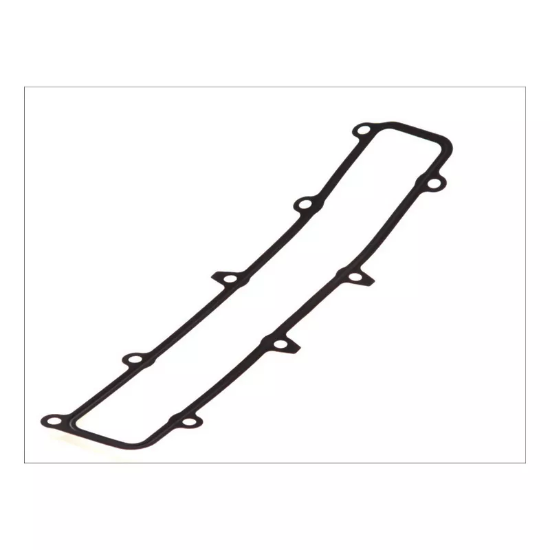 Joint d'étanchéité, collecteur d'admission LEMA 21008.25