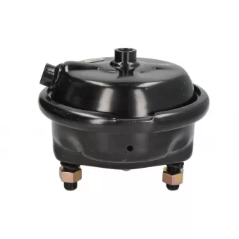 Cylindre de roue SBP 05-BCT22-W01