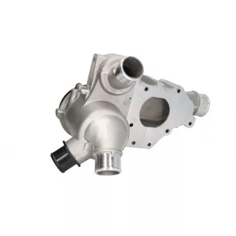 Thermostat d'eau LEMA 451579