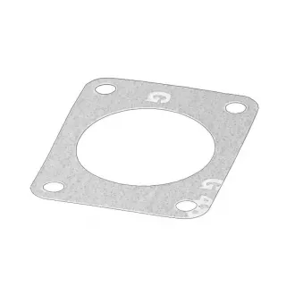Joint d'étanchéité, collecteur d'admission OE