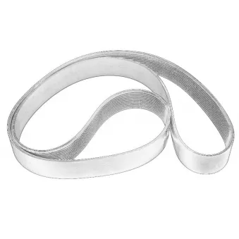 Courroie trapézoïdale à nervures OE