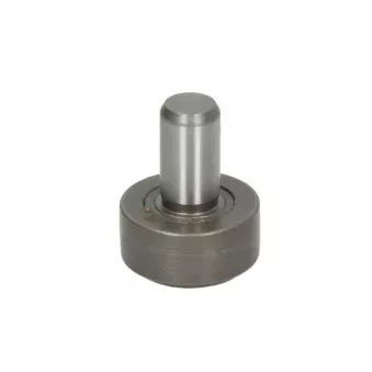 Support, commande d'embrayage ZF