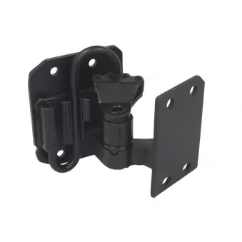 charnière de porte COSPEL