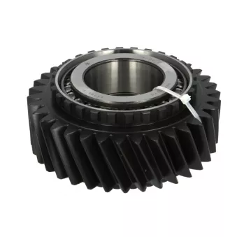 Pignon de boîte de vitesses EURORICAMBI