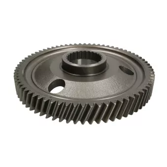 Pignon de boîte de vitesses EURORICAMBI 74530695