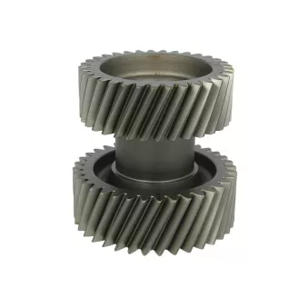 Pignon de boîte de vitesses EURORICAMBI