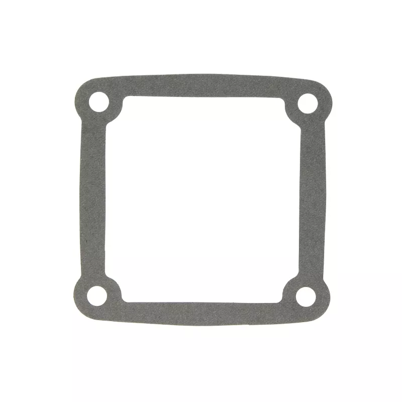 Joint de transmission EURORICAMBI 74530629