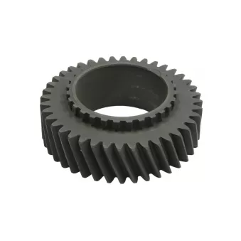 Pignon de boîte de vitesses EURORICAMBI 88530773