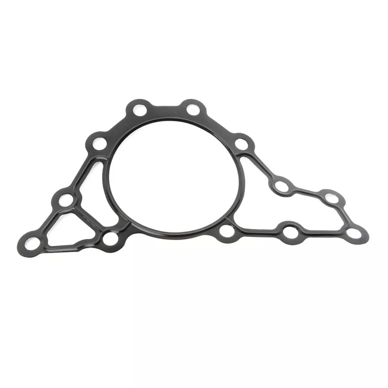 Joint de transmission EURORICAMBI 95532481