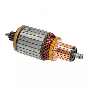 Induit, démarreur CARGO