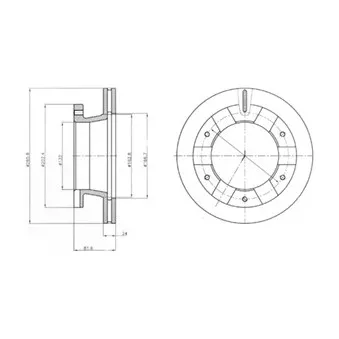 Jeu de 2 disques de frein arrière DELPHI