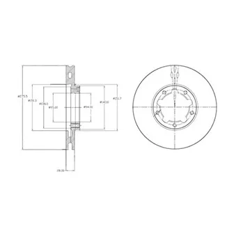Jeu de 2 disques de frein avant DELPHI
