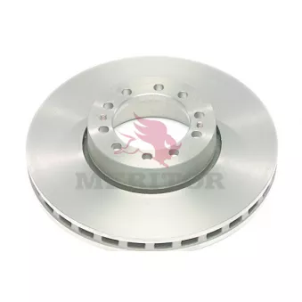 Jeu de 2 disques de frein avant MERITOR