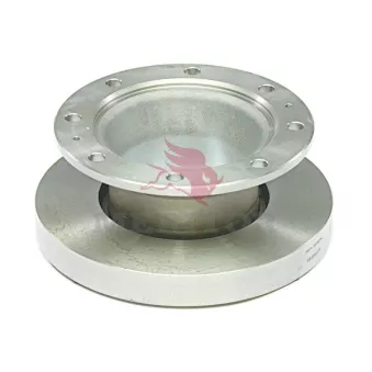 Jeu de 2 disques de frein arrière MERITOR