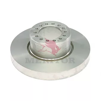 Jeu de 2 disques de frein avant MERITOR