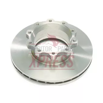 Jeu de 2 disques de frein arrière MERITOR