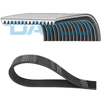 Courroie trapézoïdale à nervures DAYCO