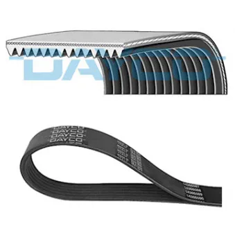 Courroie trapézoïdale à nervures DAYCO