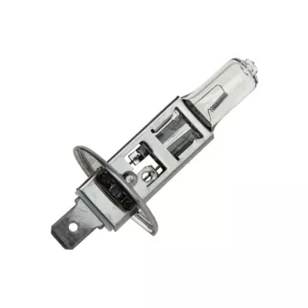 Ampoule, projecteur longue portée TEKNÖR EZ-H1