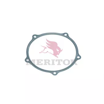 Bague d'étanchéité, moyeu de roue MERITOR